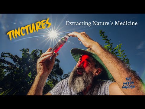 MAKING PLANT MEDICINE: A Beginner’s Guide to Tincture Making [Video]