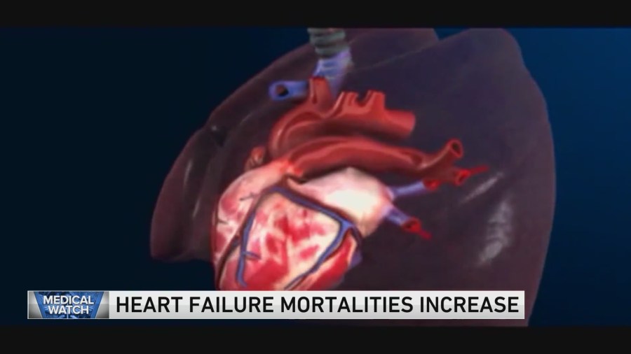 Heart failure mortalities increase  and more [Video]