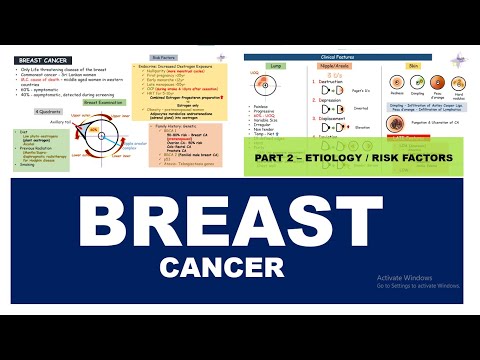 BREAST CANCER – Etiology / Risk Factors – Part 2 [Video]