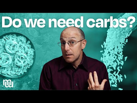 Does the Brain Need Carbs? [Video]