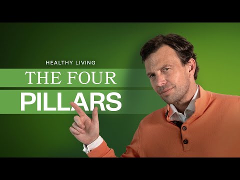 The 4 Pillars of My Recovery Journey [Video]