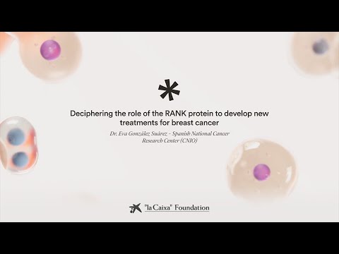 Deciphering RANK protein to develop new therapies for breast cancer. Eva González|CaixaResearch 2023 [Video]