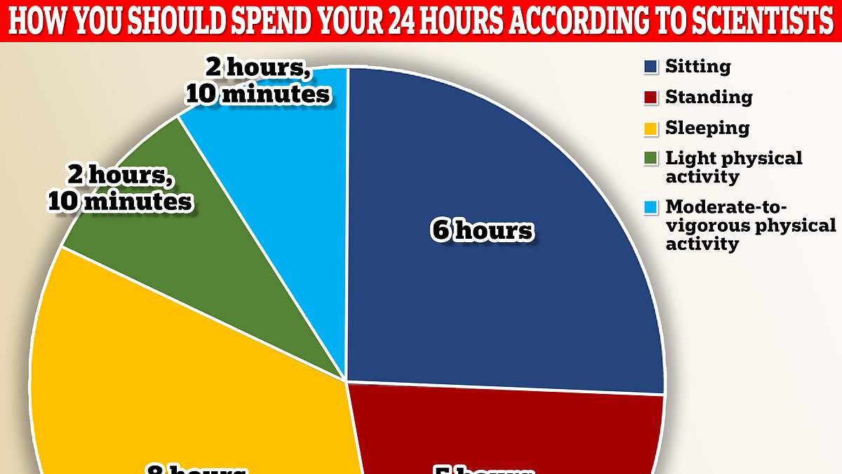 How long you should spend sitting, sleeping, standing and exercising each day REVEALED by scientists [Video]