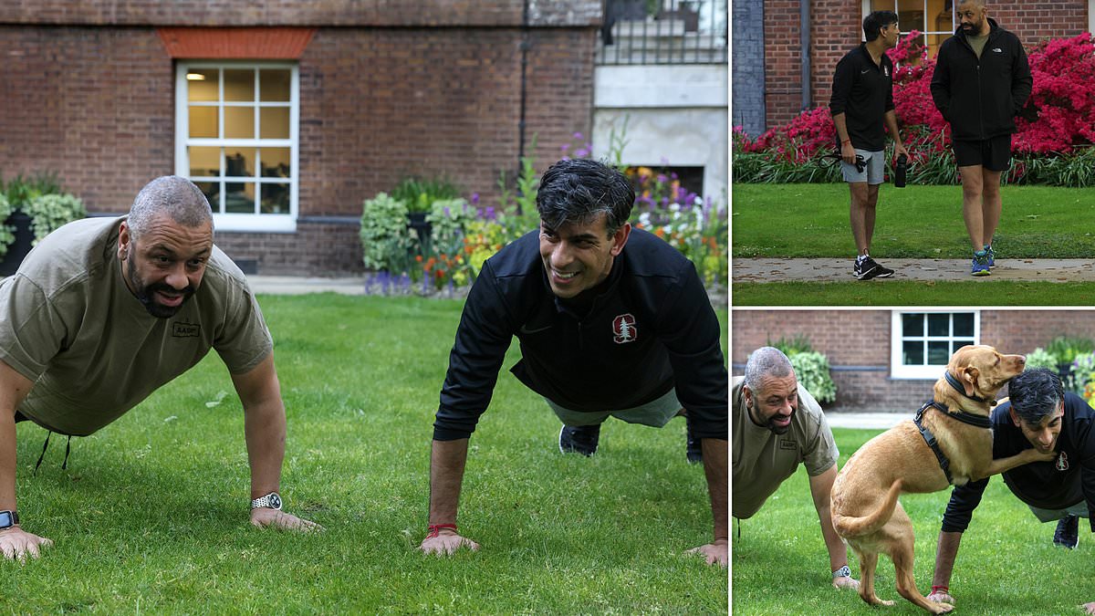 Getting pumped for the election! Rishi Sunak takes on charity press-up challenge with Home Secretary James Cleverly in awkward video… but how many did the PM manage?