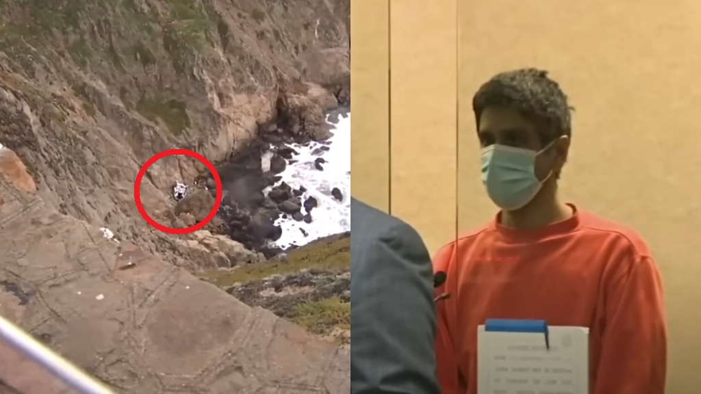 California doctor who drove family off cliff had psychotic break, therapist says [Video]