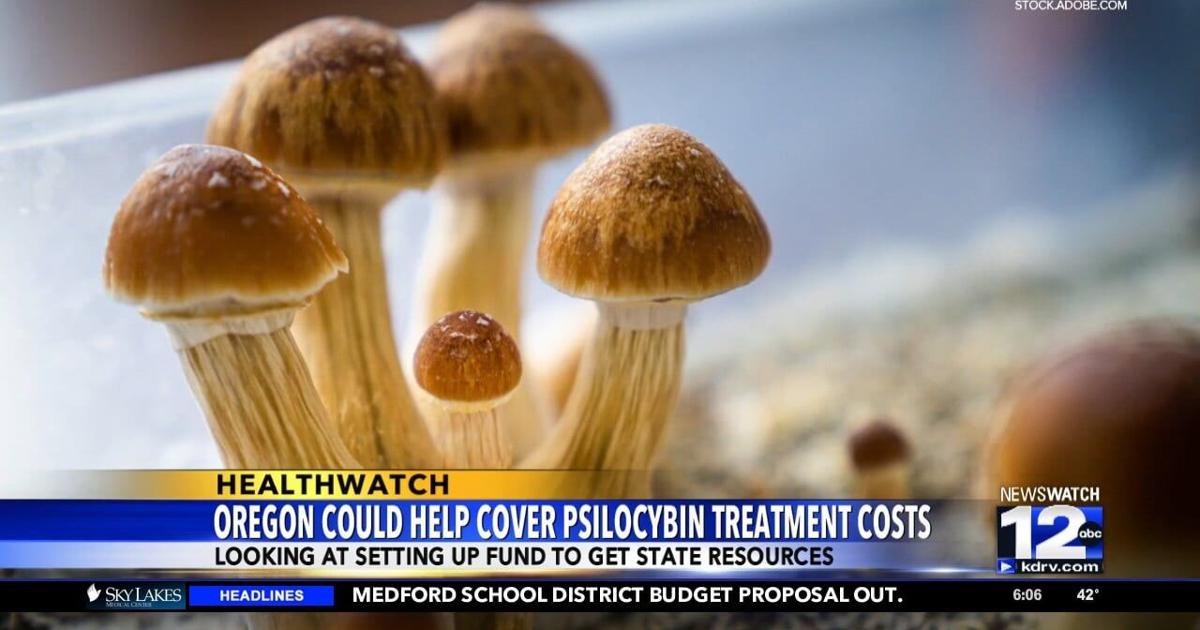 Oregon Psibocylin Advisory Board’s May 3 meeting could have local impact | Top Stories [Video]