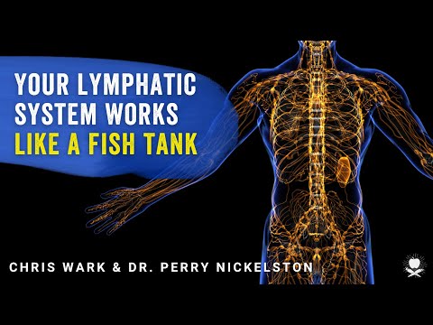 Your lymphatic system works like a fish tank | Dr. Perry Nickleston [Video]