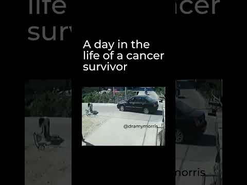 A Day in The Life [Video]