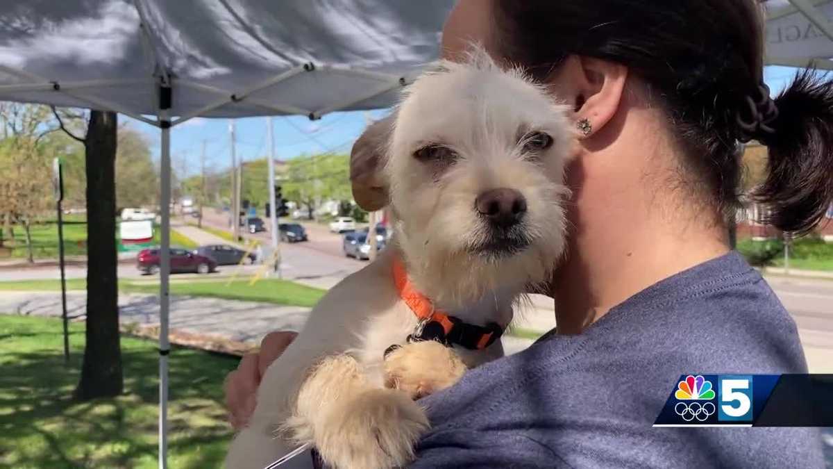 UVM Medical Center holds puppy petting zoo to celebrate nurses, promote dog adoption [Video]