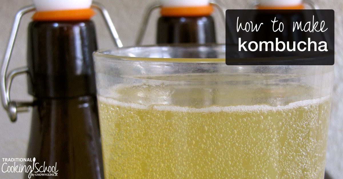 How To Make Kombucha [Video]