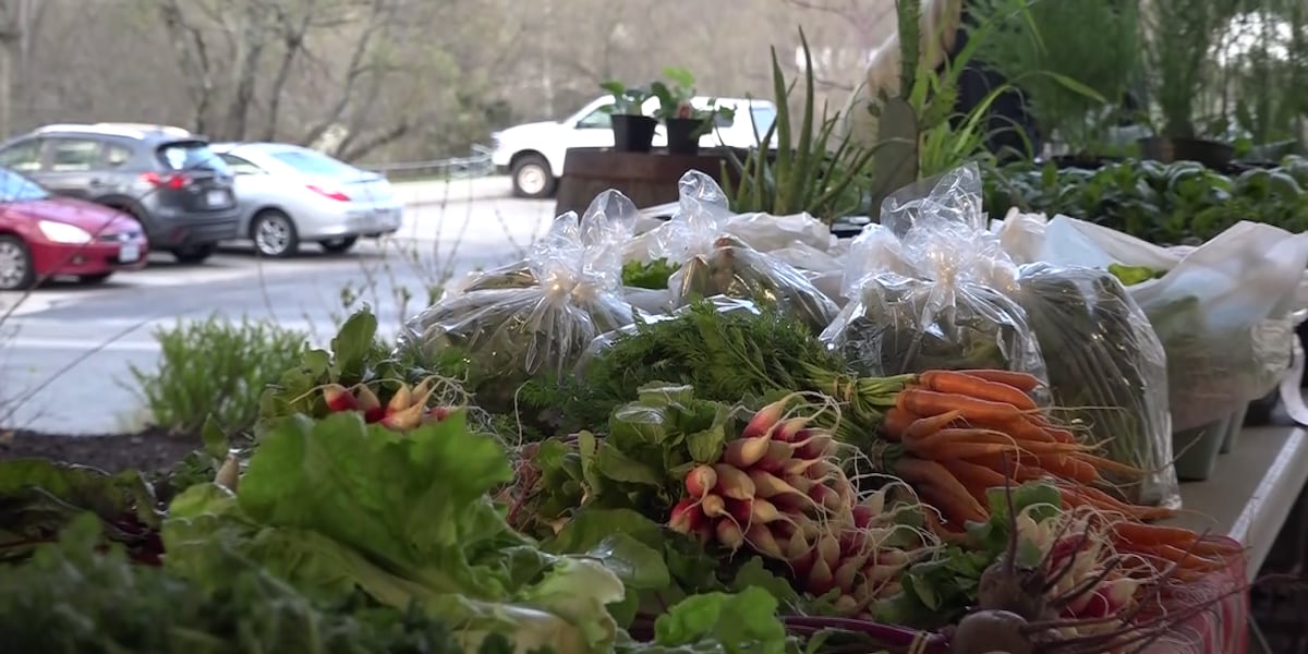 WIC benefits available to be used at farmers markets across the Ozarks this summer [Video]