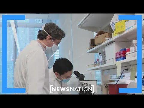 New mRNA vaccine shows promise in fighting brain tumors | Morning in America [Video]