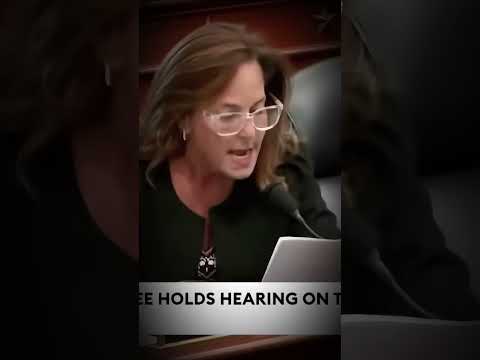 Lisa McClain Confronts Witness Over Federal Spending on Illegal Immigrants vs. Homeless Veterans [Video]