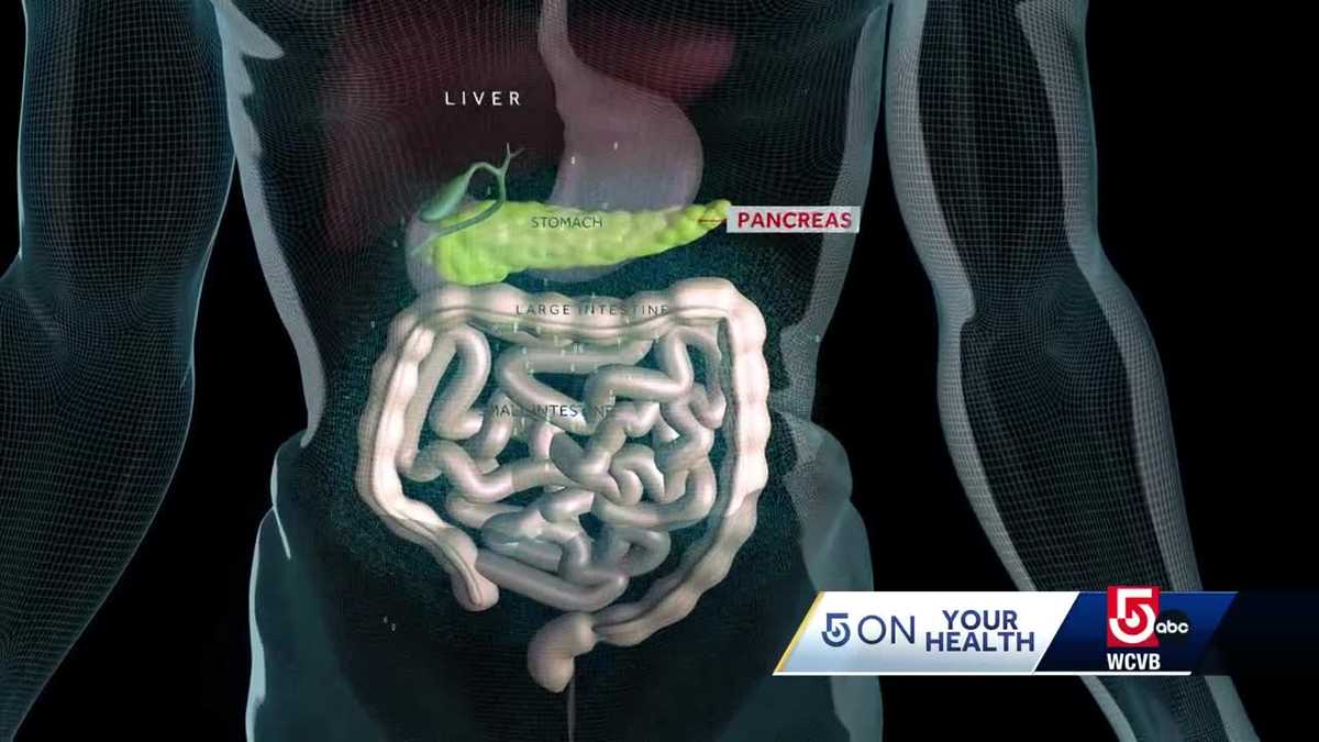 Massachusetts doctor fact checks gut health trends [Video]