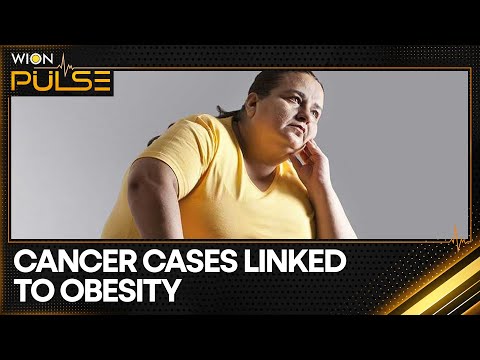 Study links half of all cancer cases to obesity | WION Pulse [Video]