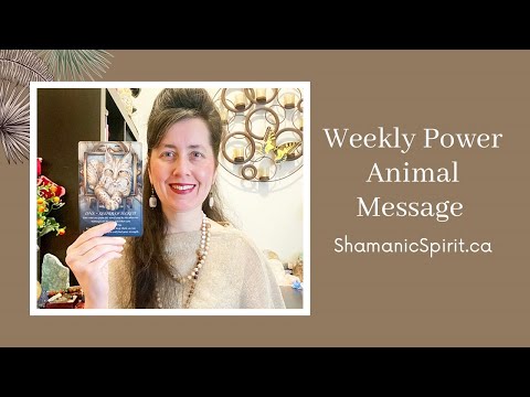 May 11-17, 2024: Weekly Power Animal Message And Crystal Healing Talisman. Lynx symbolism [Video]