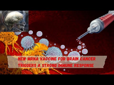 New mRNA vaccine for deadly brain cancer triggers a strong immune response [Video]