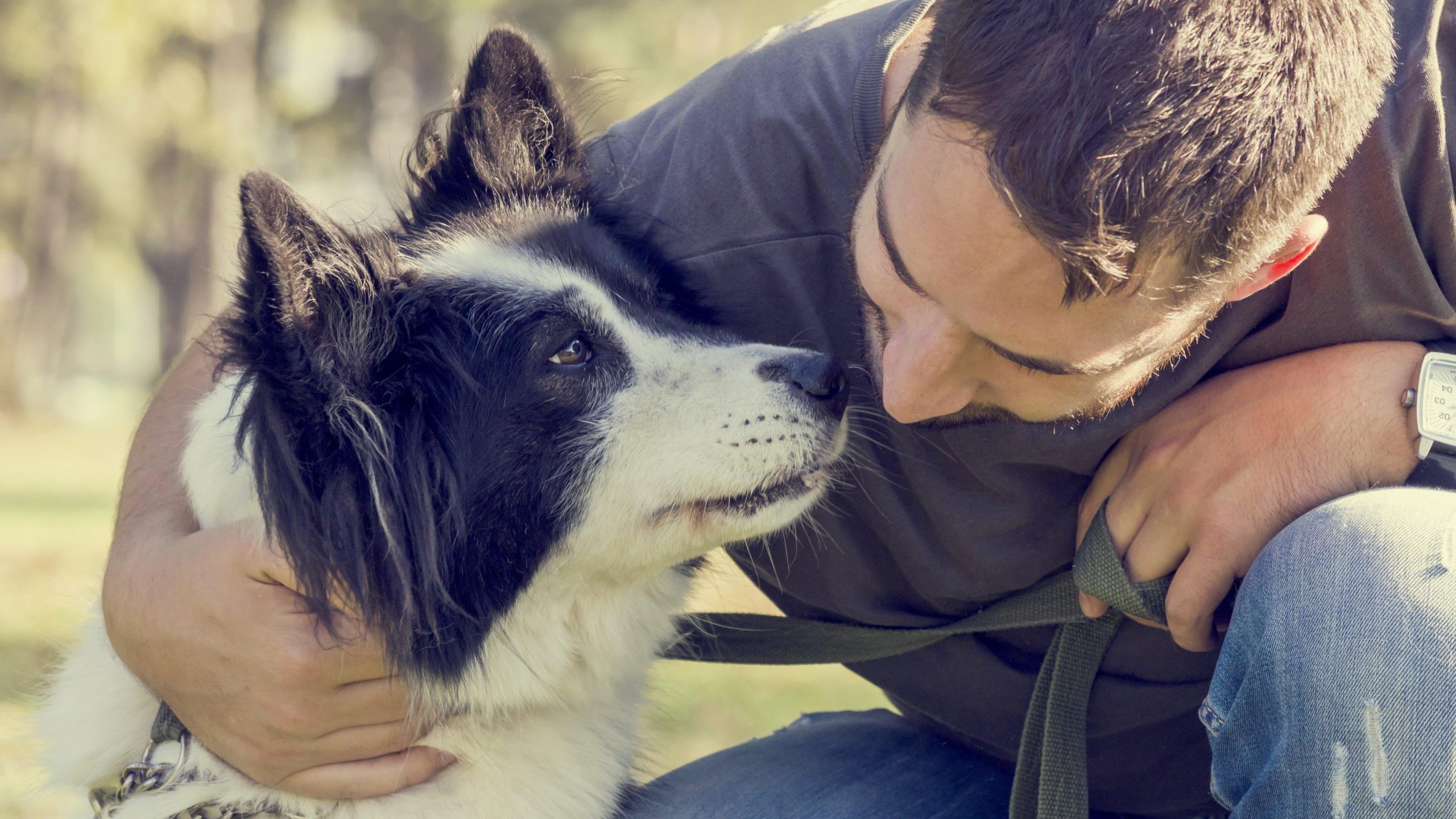 How You ‘Parent’ Your Dog Matters, Actually [Video]