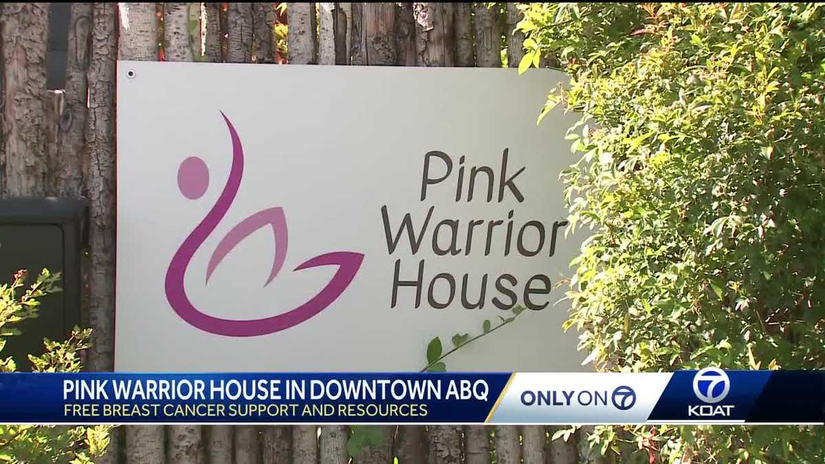 Building hope and resilience: The Pink Warrior House Foundation [Video]