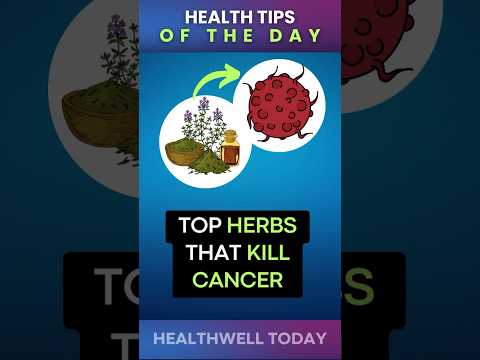 Top Herbs That Kill Cancer [Video]