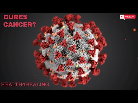 The Amazing Health Benefits of Lactobacillus Salivarius | Fighting Cancer and More! [Video]