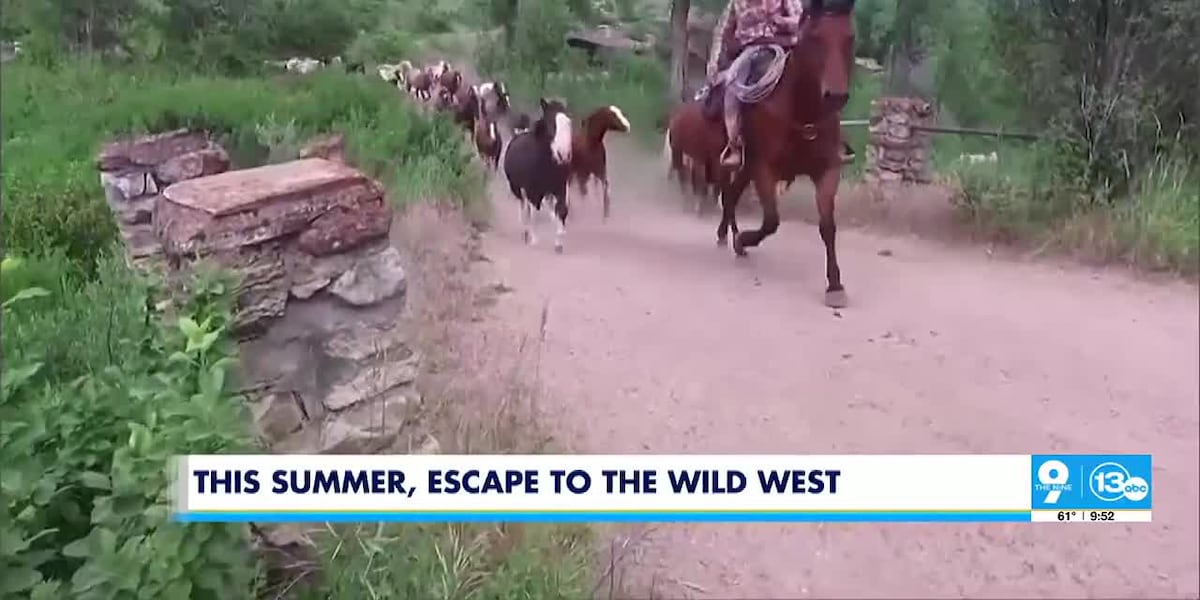 Live Your Cowboy Dreams This Summer! [Video]