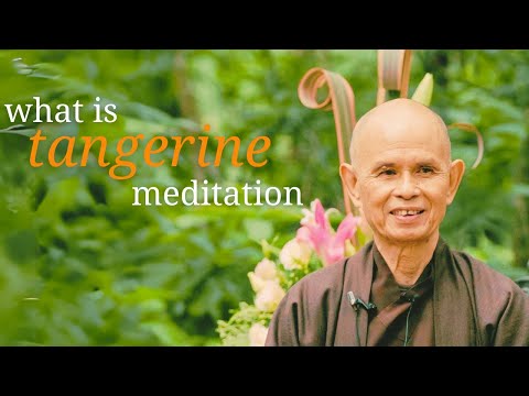 Tangerine Meditation | Teaching by Thich Nhat Hanh [Video]