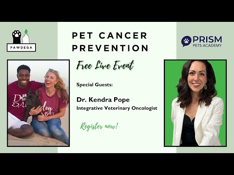 Pet Cancer Prevention Tips from Veterinary Oncologist Dr. Kendra Pope [Video]