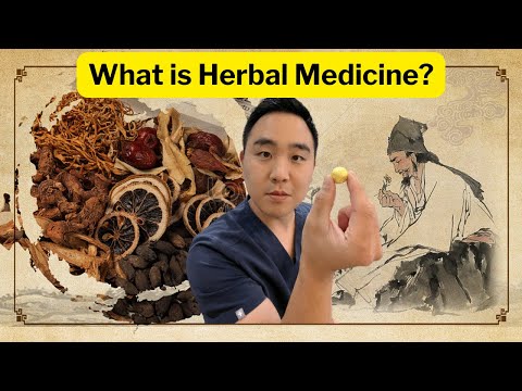 What is Herbal Medicine? Korean Medicine, Traditional Chinese Medicine [Video]