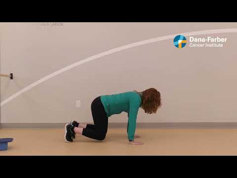 Quick Lower Body Strength Circuit: Session 2 | Dana-Farber Zakim Center Remote Programming [Video]
