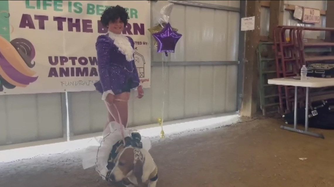 Therapy farm fundraises with animal fashion show [Video]