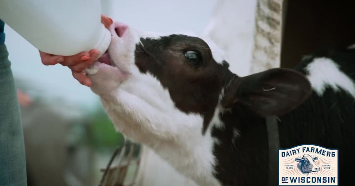 Blend Extra: June Is Dairy Month! [Video]
