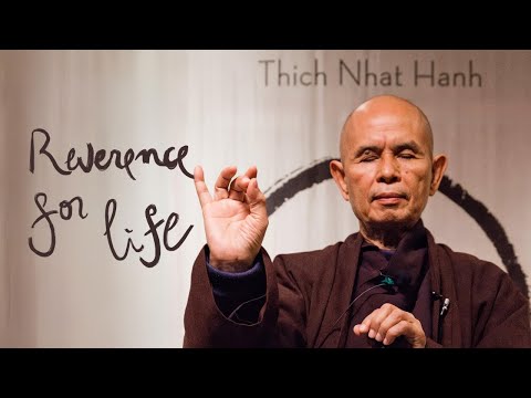 The First Mindfulness Training | Thich Nhat Hanh [Video]