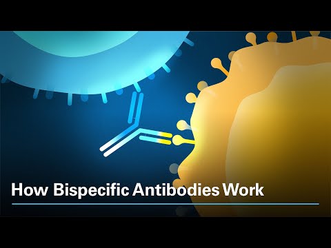 How Bispecific Antibodies Work [Video]