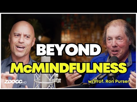 The Corporate Mindfulness Scam (w/Prof. Ron Purser) [Video]