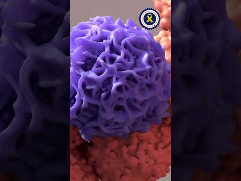 Cancer Risk Factors [Video]