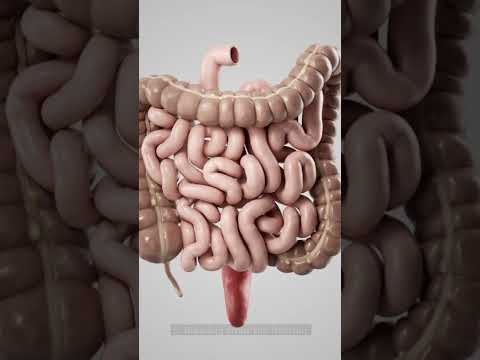 Early Warning Signs Of COLON CANCER You Should Not Ignore [Video]