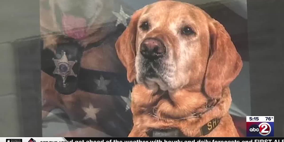 Rest in peace, Roky: Green Lake County says goodbye to beloved K9 [Video]