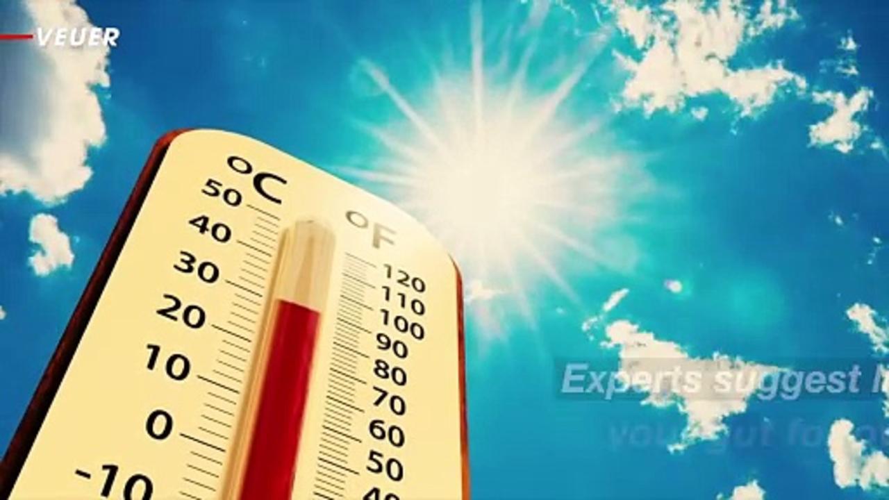 Heat Impacts Our Gut Health [Video]