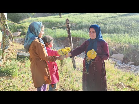 Picking herbal medicine and making a garden [Video]