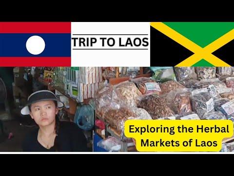 Exploring the Herbal Markets of Laos 🌿 | A Journey into Traditional Medicine [Video]