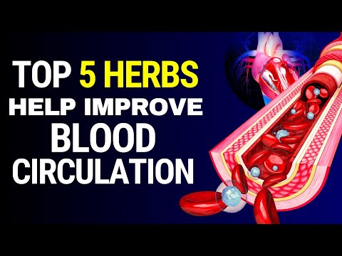 Best 5 HERBAL Medicine For IMPROVE Blood Circulation [Video]