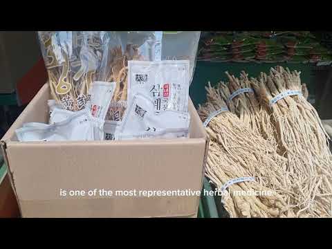 largest traditional herbal medicine market in Seoul [Video]