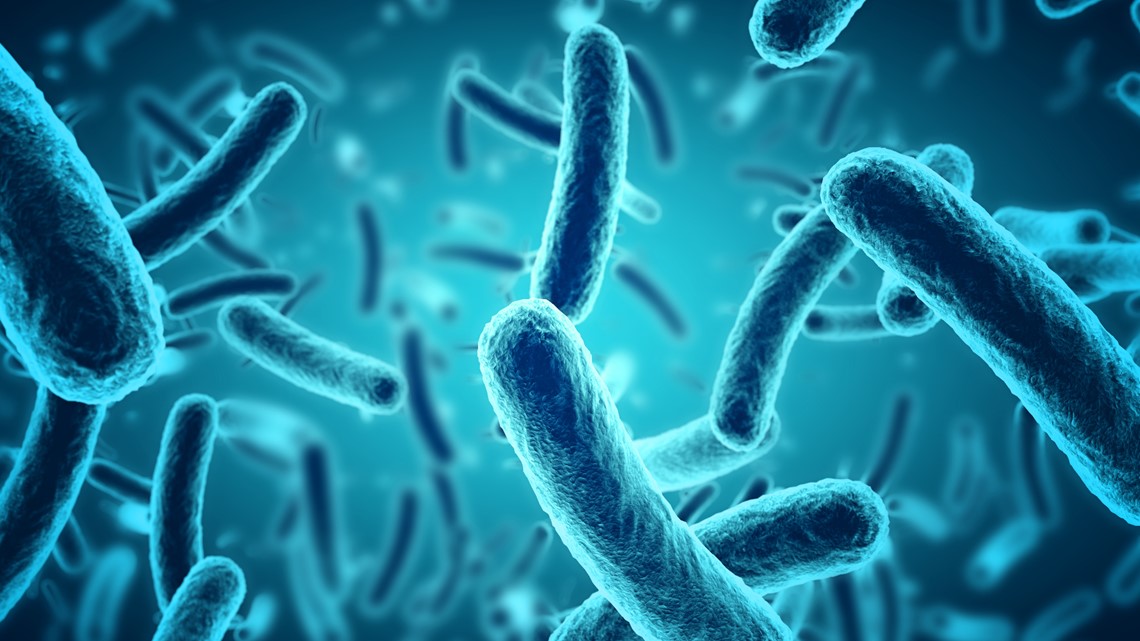 Salmonella symptoms explained, how to prevent infection [Video]