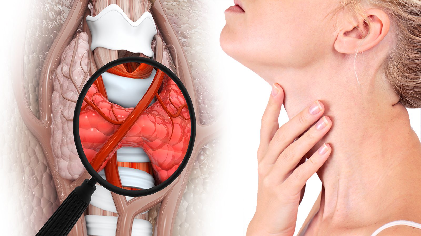 Cleveland Clinic Explains the 3 Types of Thyroid Disorders (and What Causes Them) [Video]