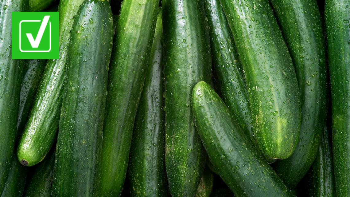 Fresh Start Produce Sales, Inc. cucumbers recalled for salmonella [Video]