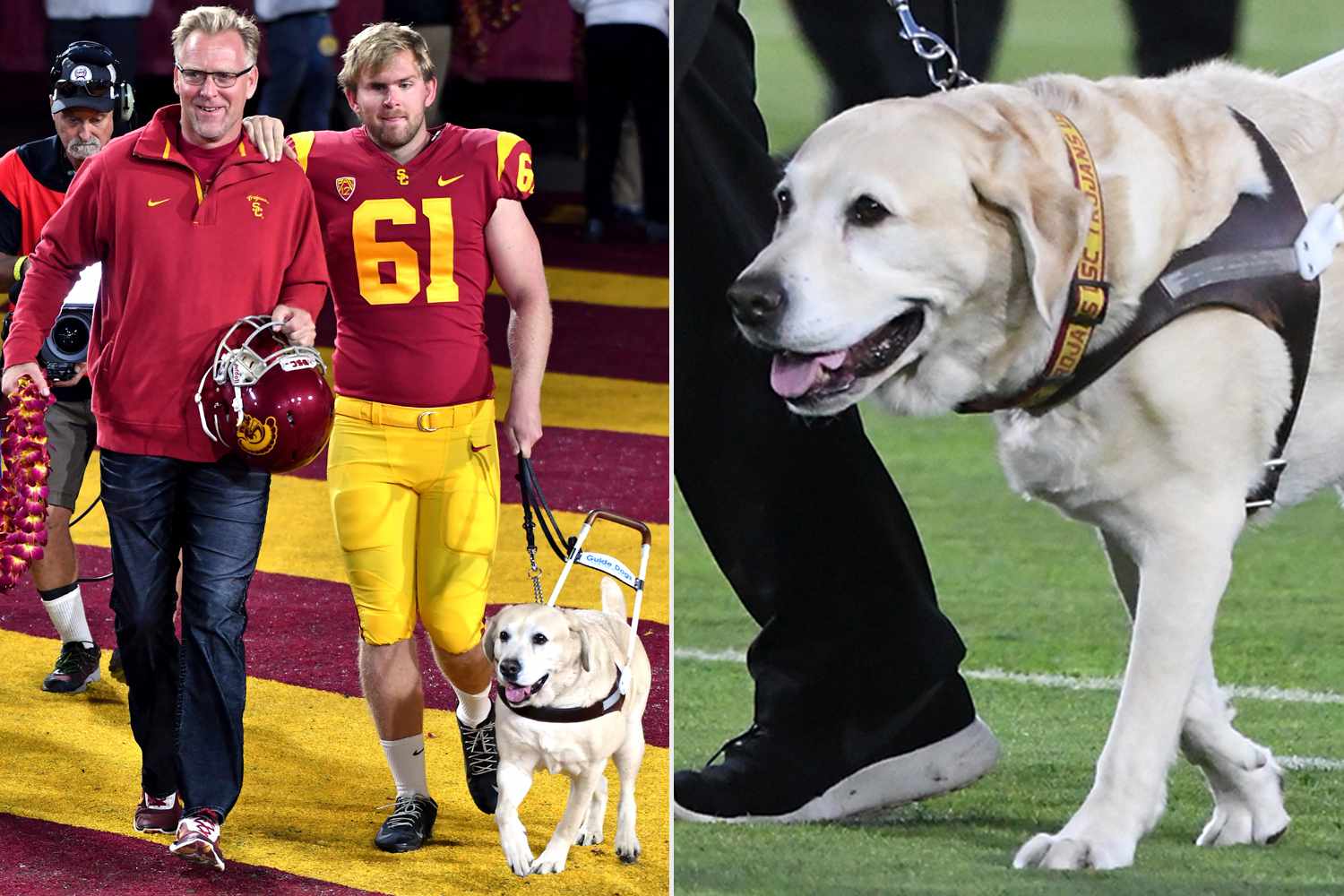 Blind Former USC Player Jake Olson Mourns Death of ‘Beloved Guide Dog’ [Video]