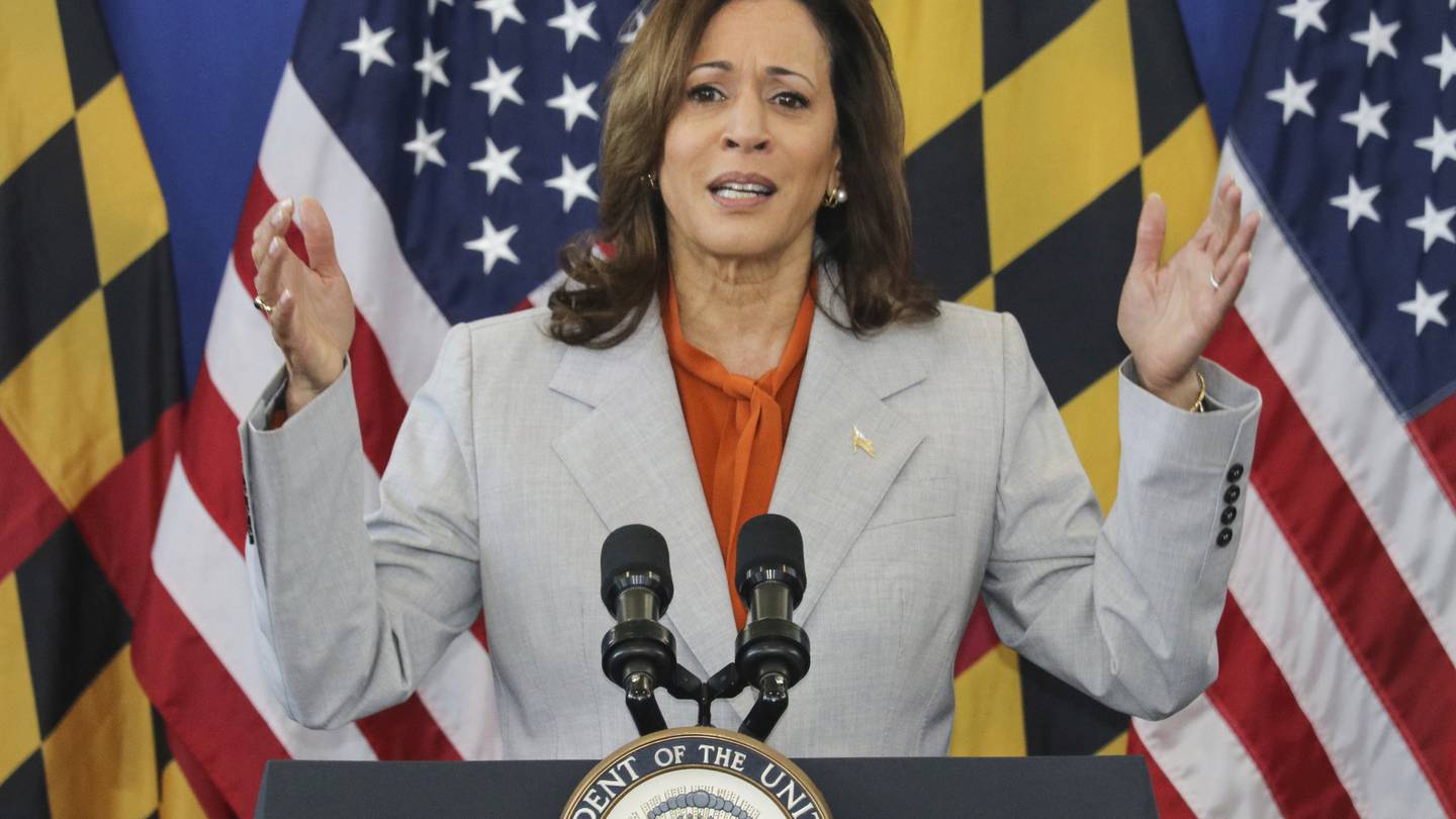 VP Harris campaigns to stop gun violence with Maryland Senate candidate Alsobrooks  WSOC TV [Video]