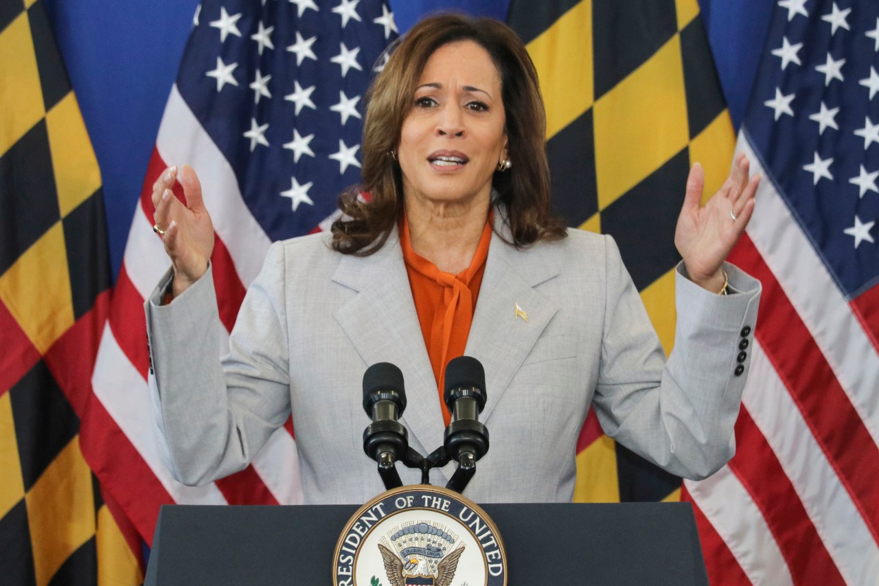 VP Harris campaigns to stop gun violence with Maryland Senate candidate Alsobrooks | KLRT [Video]