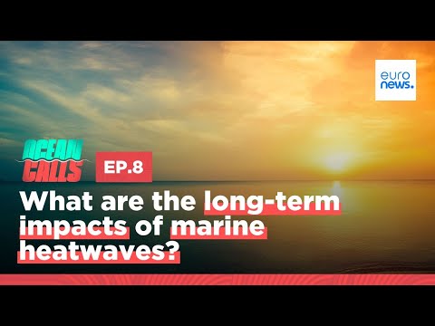What are the long-term impacts of marine heatwaves? [Video]